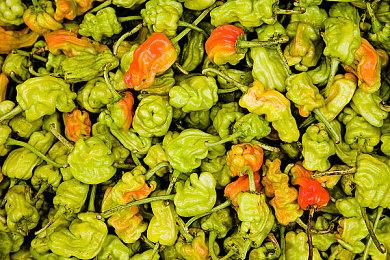 《刺客信条：影》典藏版取消3天抢先体验 降价50美元